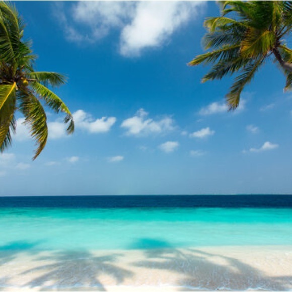 Meet your Posher, Sabrina - Picture 1 of 1